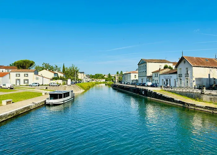 La Maison Du Quai - Face A La Sevre Niortaise Niort