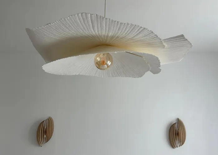 Сasa de vacaciones La Maison Du Quai - Face A La Sevre Niortaise *