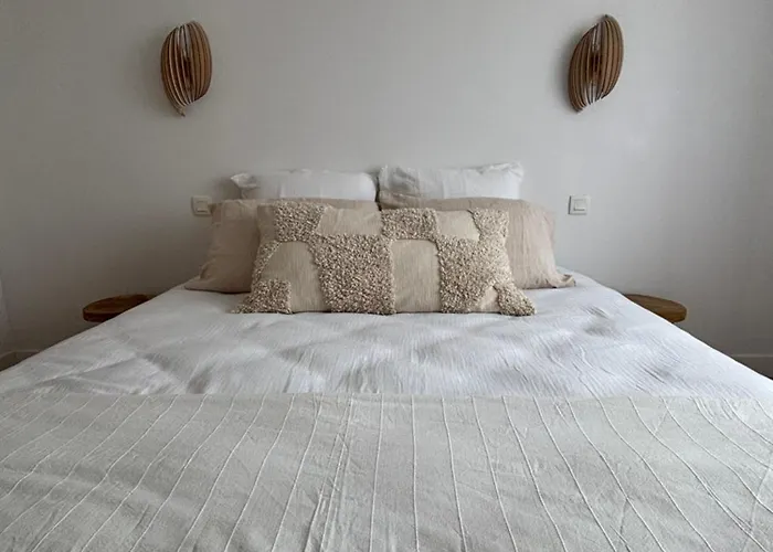 La Maison Du Quai - Face A La Sevre Niortaise Niort